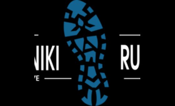 Adidasinikirunner.com