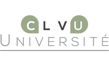 CVLuniversite