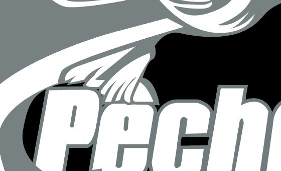 Pecheqc.ca