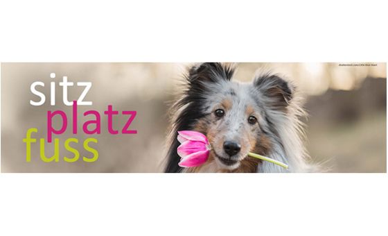 Sitzplatzfuss.com