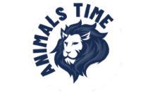 Animals Time