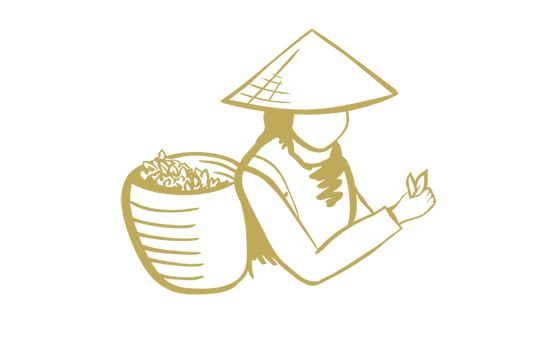 Vietnam Review