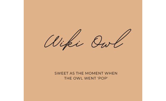 Wikiowl.com