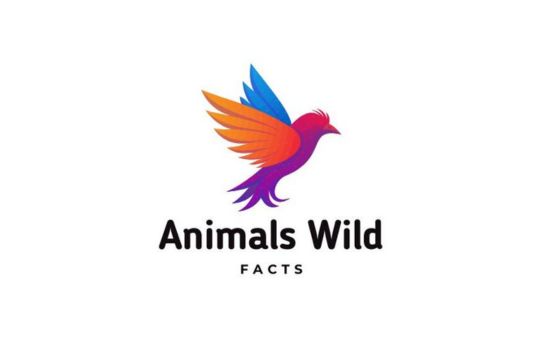 Animals Wild Facts