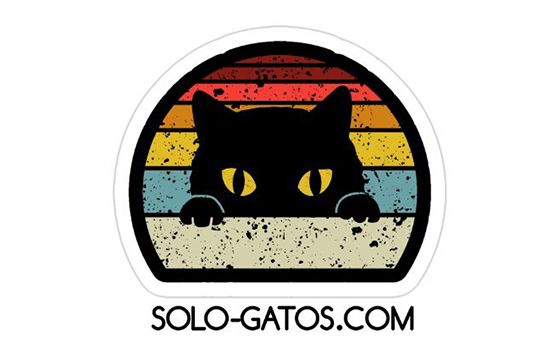 Solo-gatos.com Solo-gatos.com