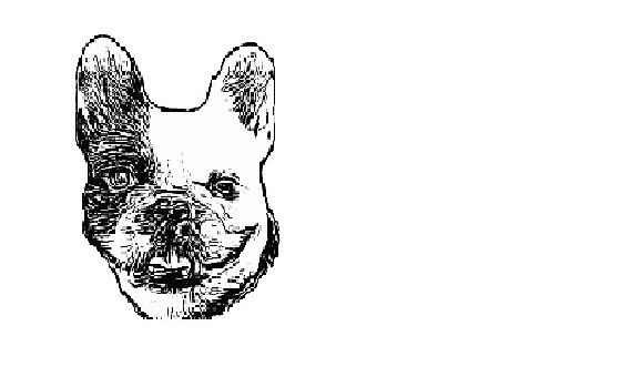 My dog: Інтернет-журнал про домашніх улюбленців