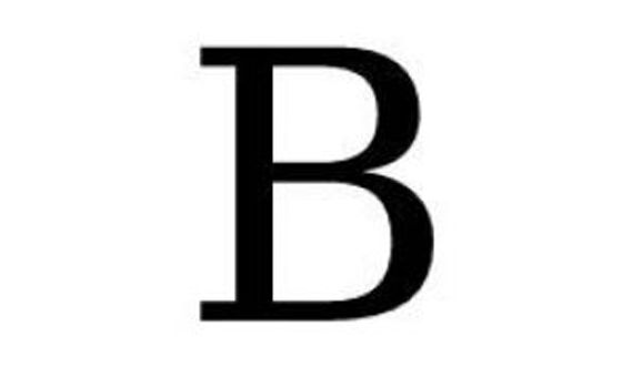 B-chief.org