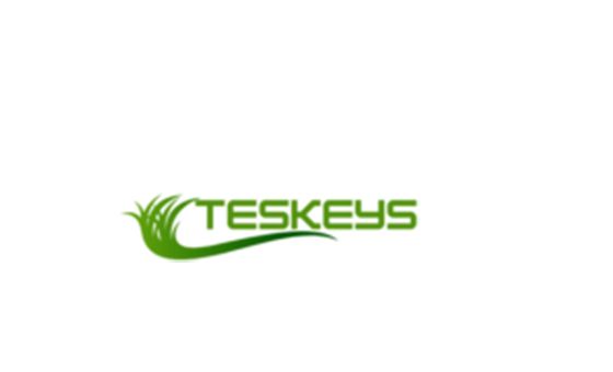 Teskeys
