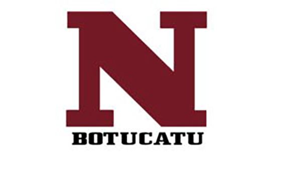 Noticiasbotucatu.com.br