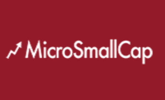 Micro Small Cap Micro Small Cap