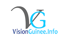 Visionguinee.info
