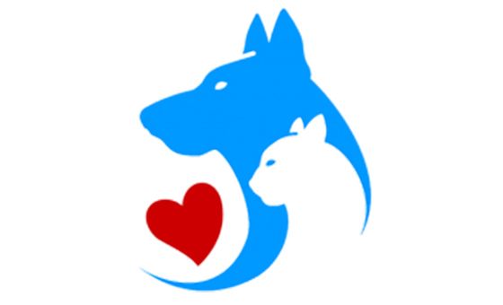 Petsyfy