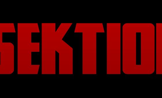 Bilsektionen.dk Bilsektionen.dk