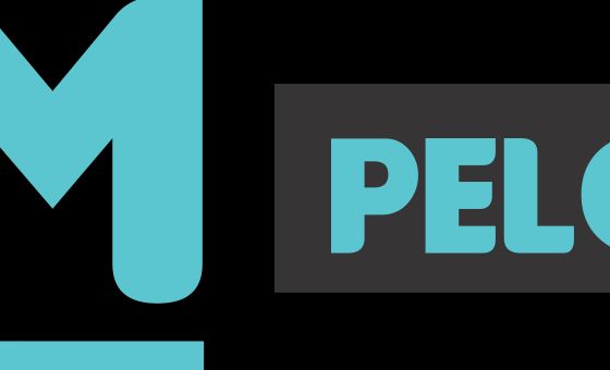 Diariodamanhapelotas.com.br