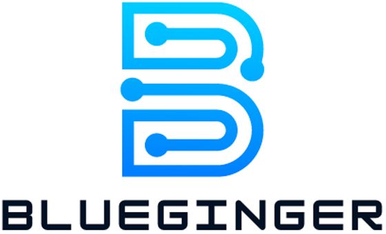 Blueginger.it