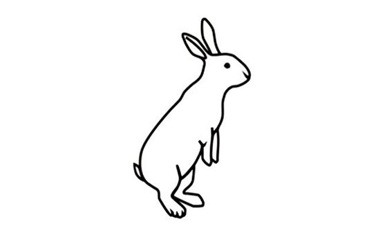Rabbitt Media