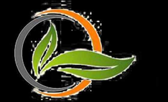 Ecolifeinternational.com