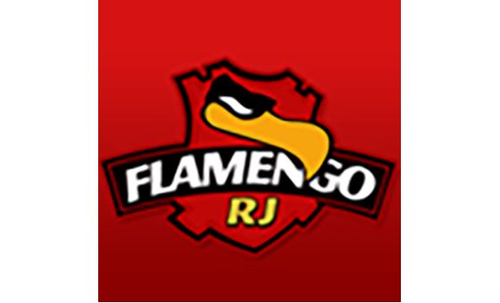 Flamengorj.com.br