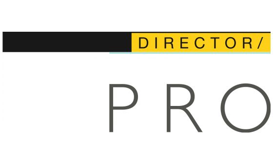 Prodirector.Net