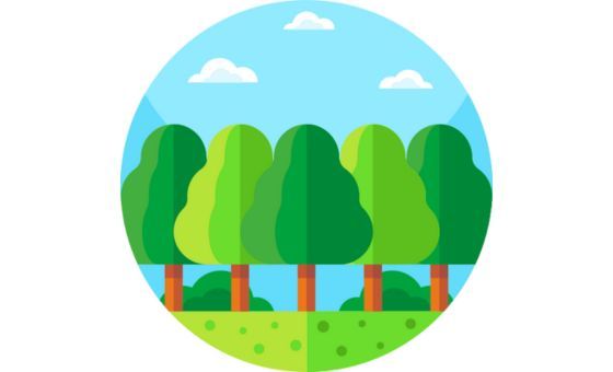 Parque de la Reserva Parque de la Reserva