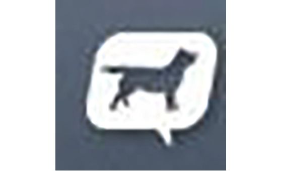 Hundegalleri.dk