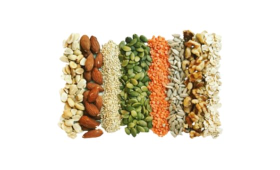 Seedsofcompassion.org