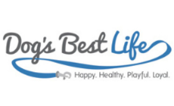 Dogs Best Life Dogs Best Life